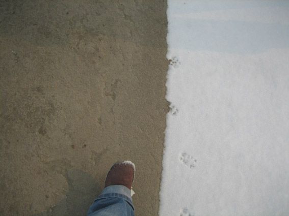 Ƭ2008.1.09 010.jpg
