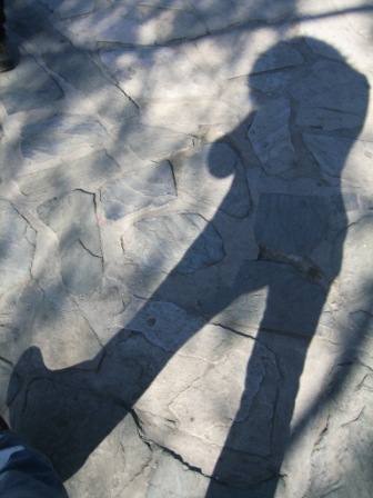 Ƭ2008.1.09 156.jpg