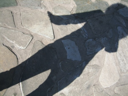 Ƭ2008.1.09 173.jpg