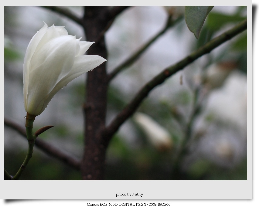 img_5665-1.jpg
