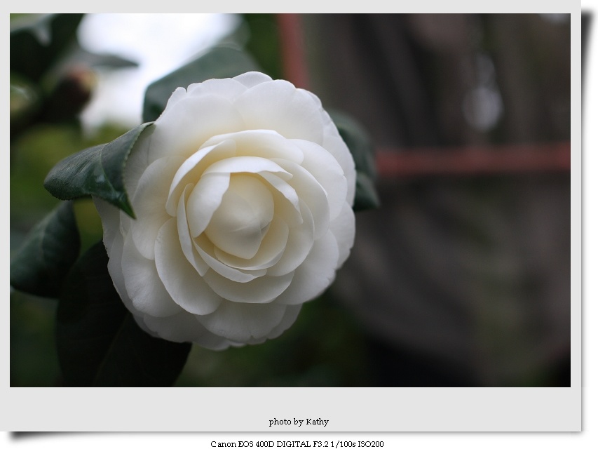 img_5652-1.jpg