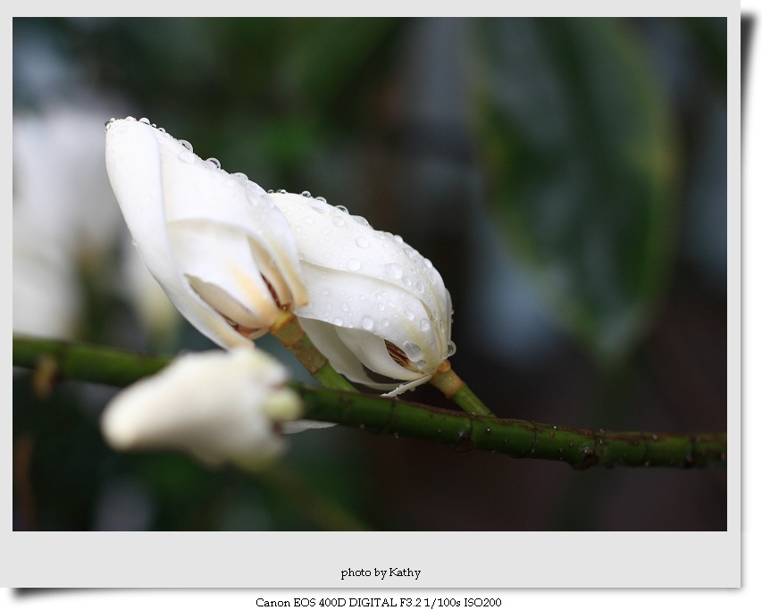 img_5662-1.jpg