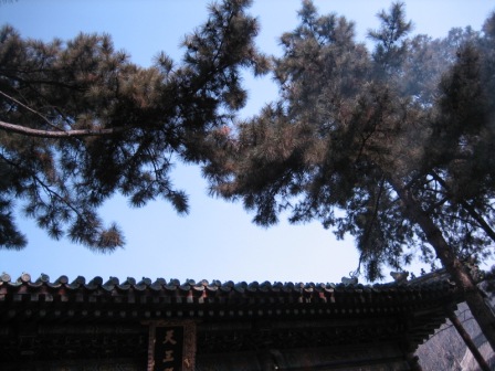 Ƭ2008.1.09 018.jpg