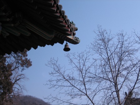 Ƭ2008.1.09 033.jpg