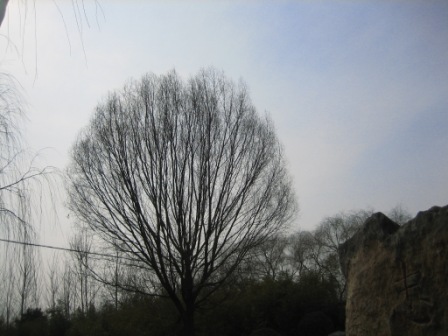 Ƭ2008.1.09 047.jpg