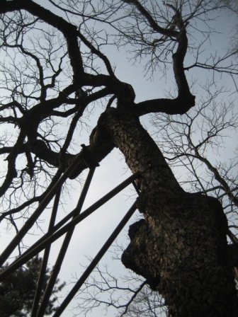 Ƭ2008.1.09 051.jpg