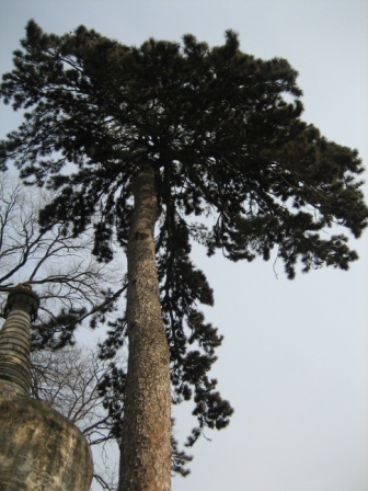 Ƭ2008.1.09 059.jpg