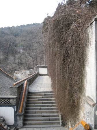 Ƭ2008.1.09 109.jpg