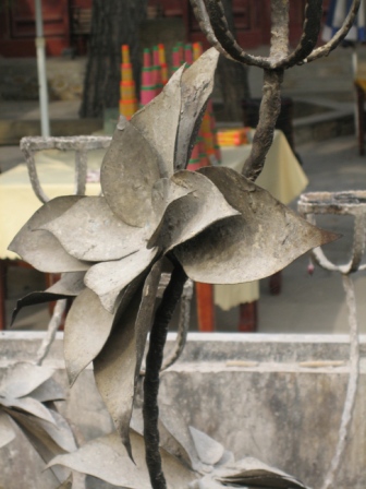 Ƭ2008.1.09 122.jpg