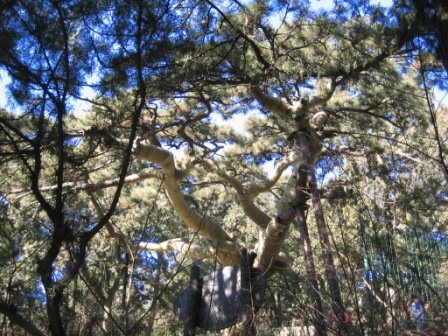 Ƭ2008.1.09 140.jpg
