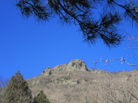 Ƭ2008.1.09 171.jpg