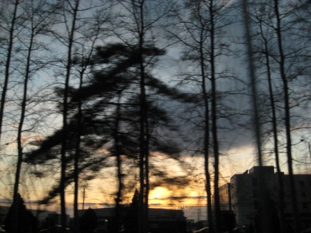 img_3020-0.jpg