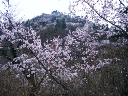 dscf0384.jpg
