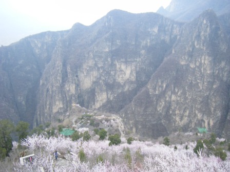 dscf0408.jpg