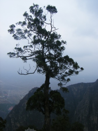 dscf0413.jpg