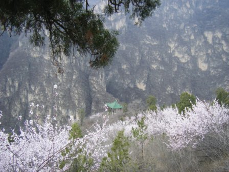 dscf0397.jpg