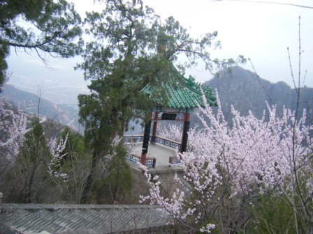 dscf0420.jpg