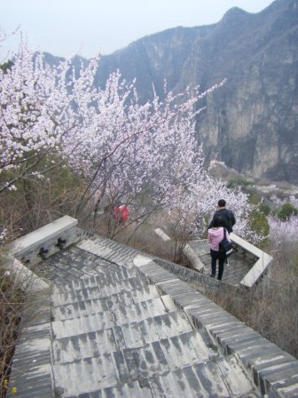dscf0414.jpg