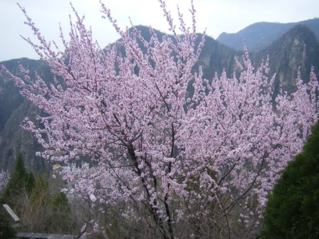 dscf0421.jpg