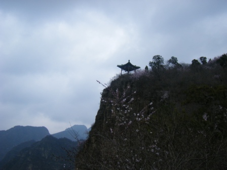 dscf0423.jpg