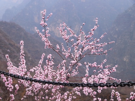 p1100082.jpg