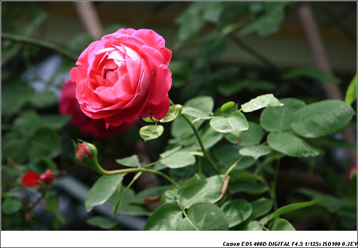img_6654-1.jpg