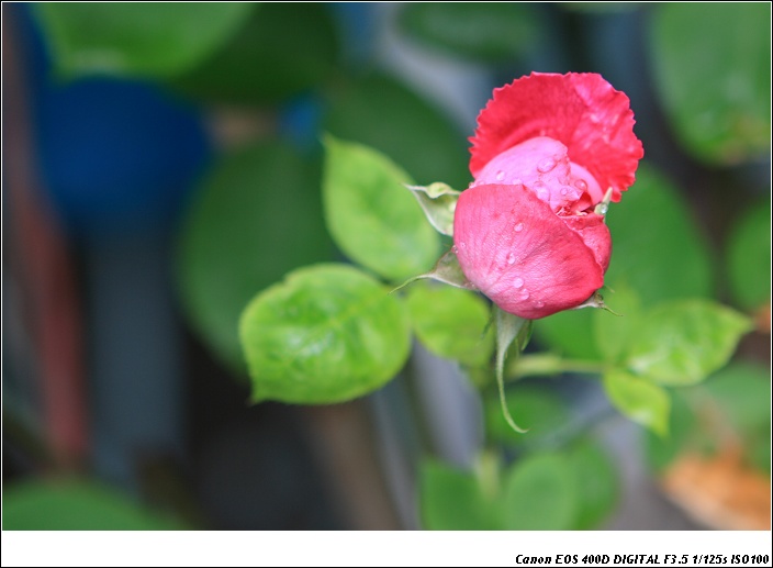 img_6671-1.jpg