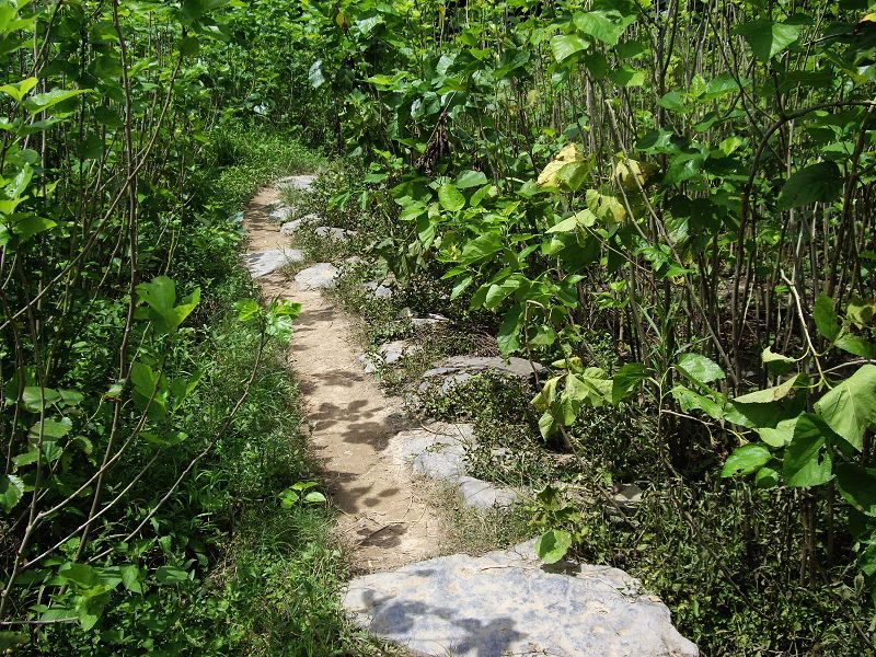 imgp5307.jpg