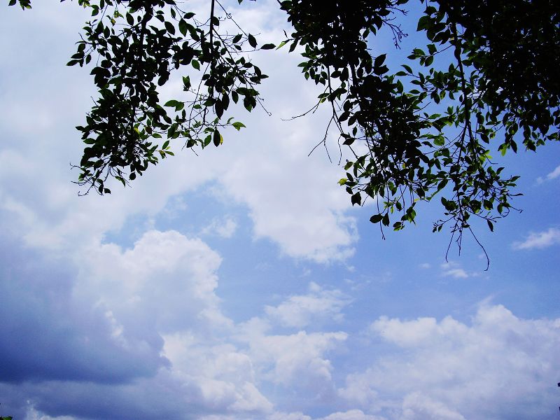 imgp5333.jpg