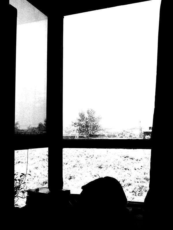 101_0881.jpg