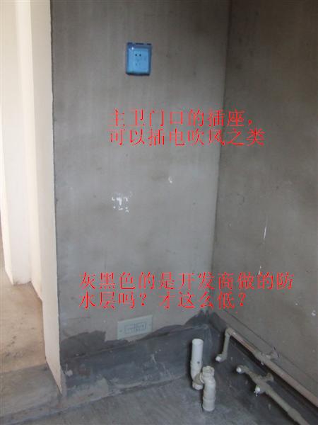 dscf2482.jpg