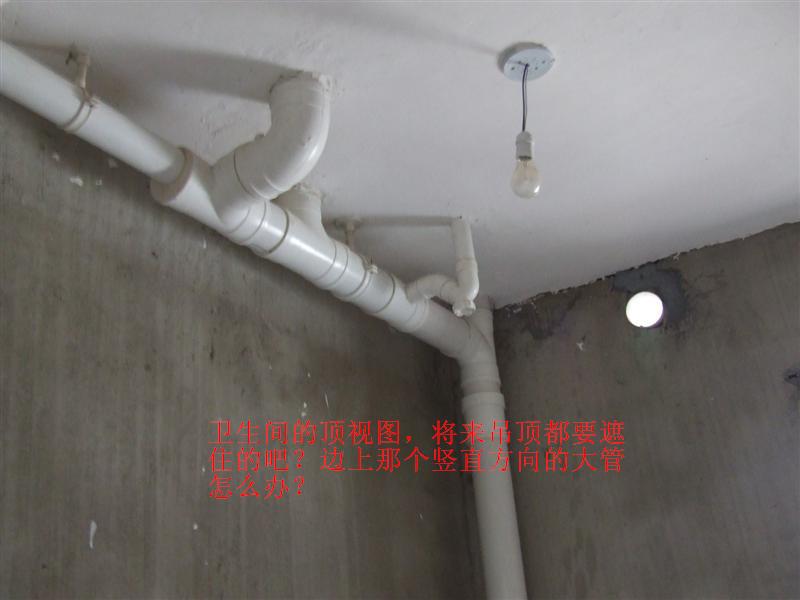 dscf2485.jpg