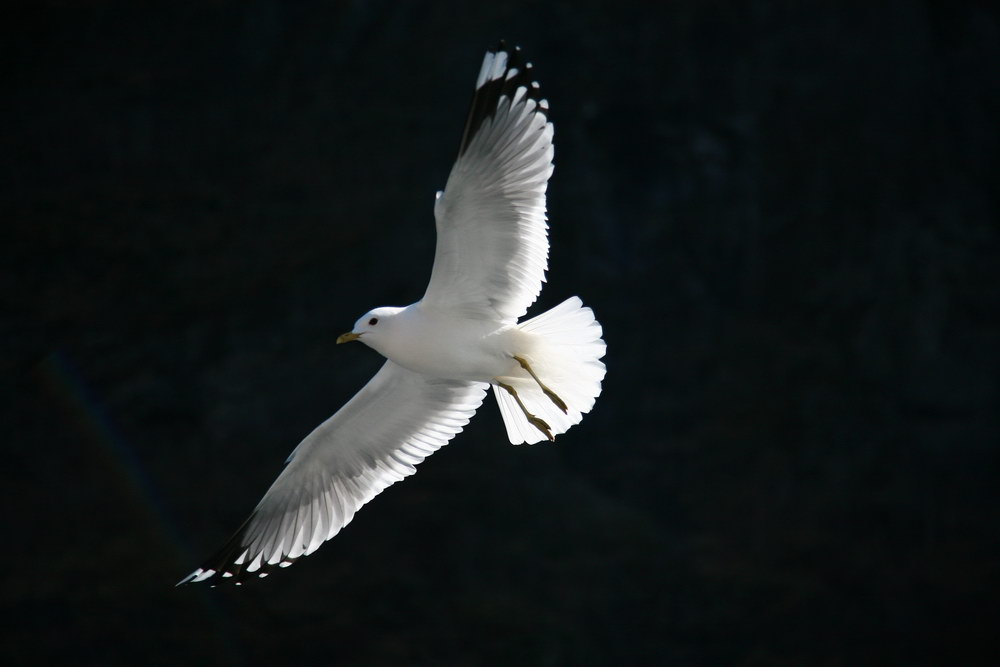 img_7407.jpg