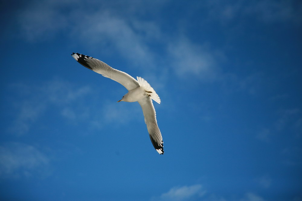 img_7414.jpg