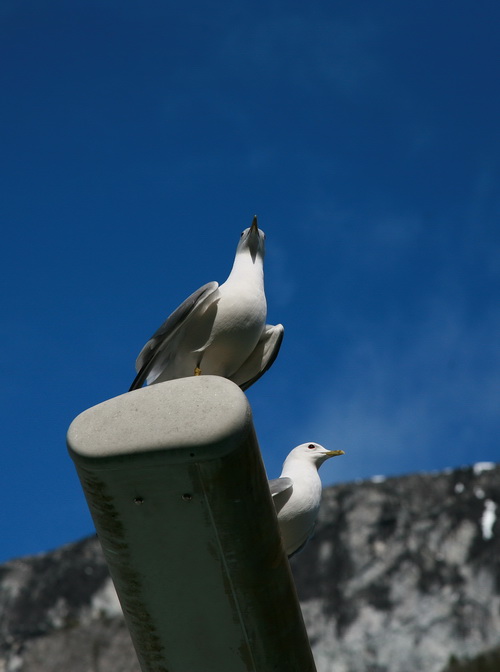 img_7444.jpg