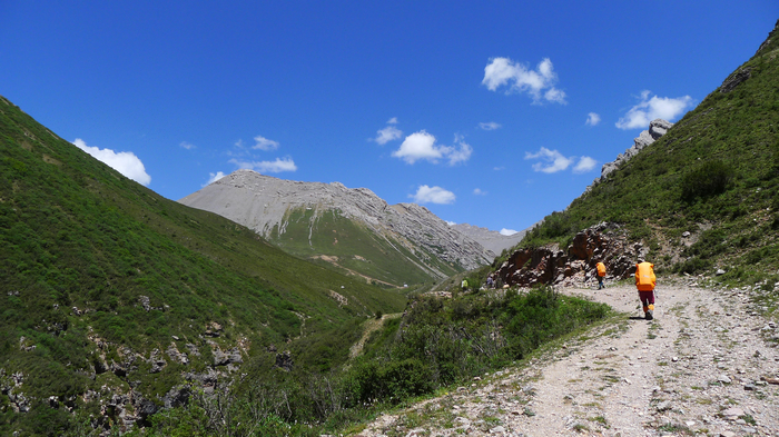L1000688.jpg