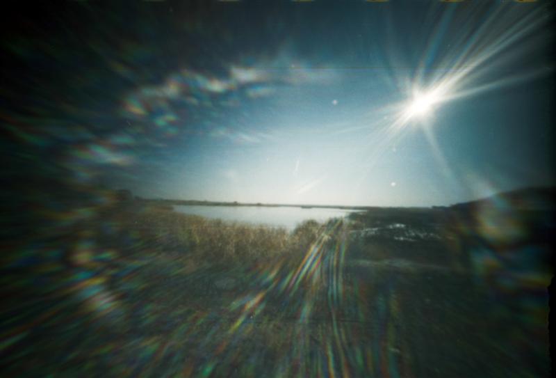 29 南湖湿地公园之南湖 1s.jpg
